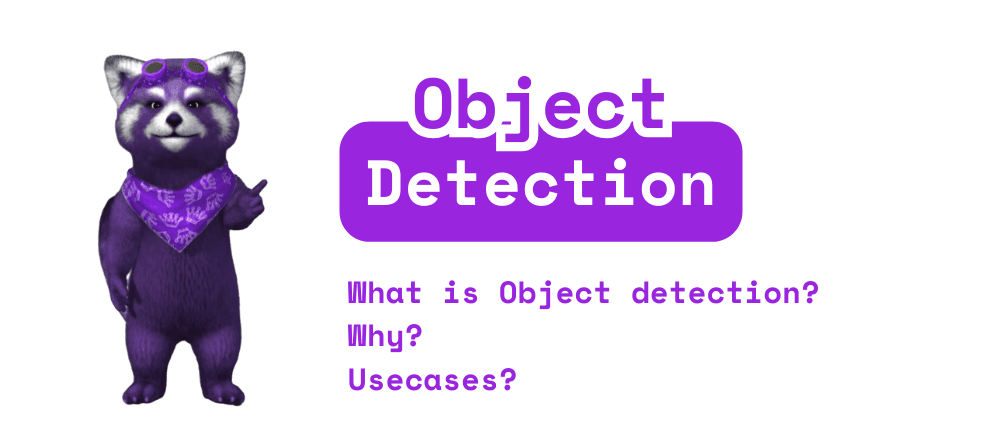 Object Detection